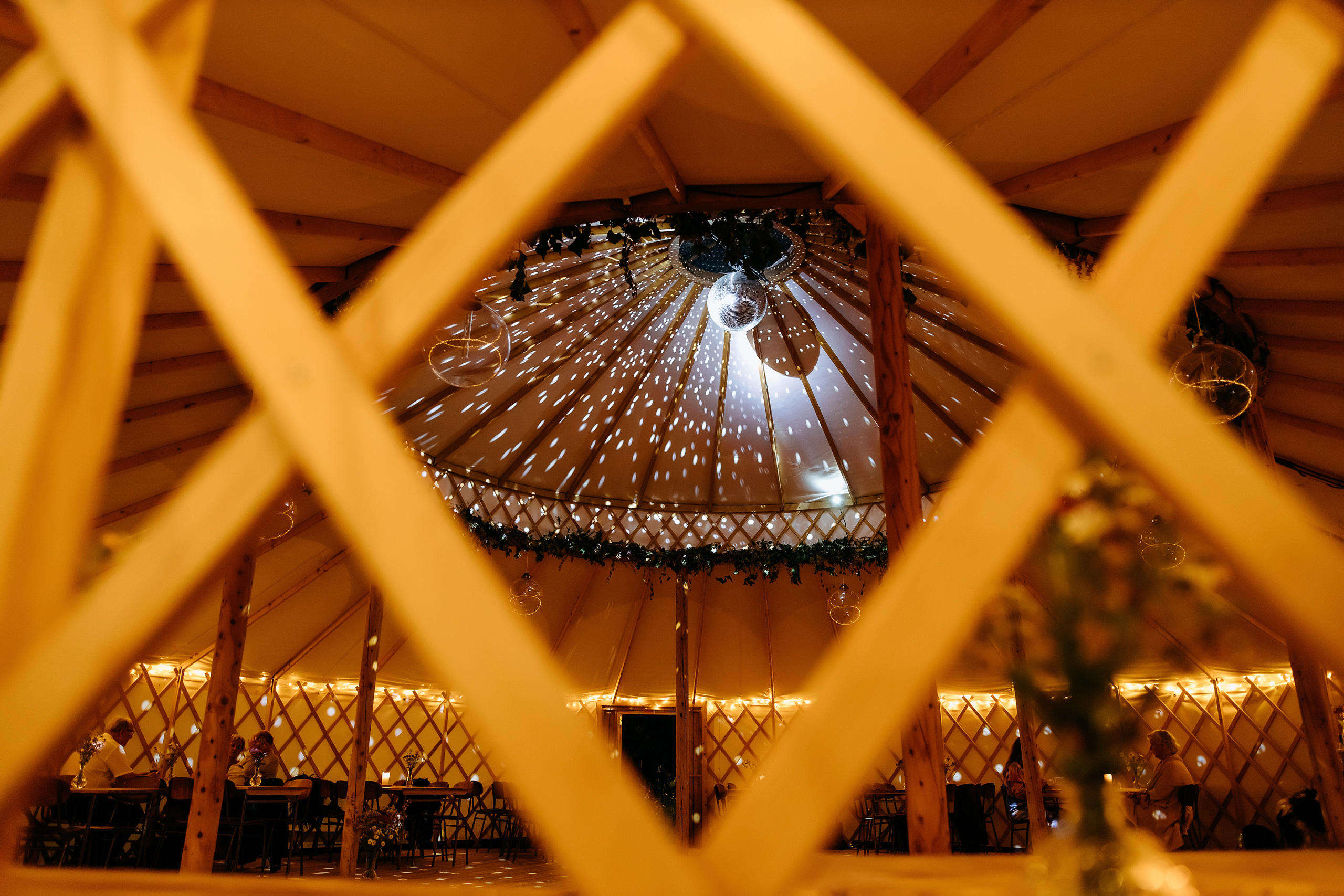Christmas party lights